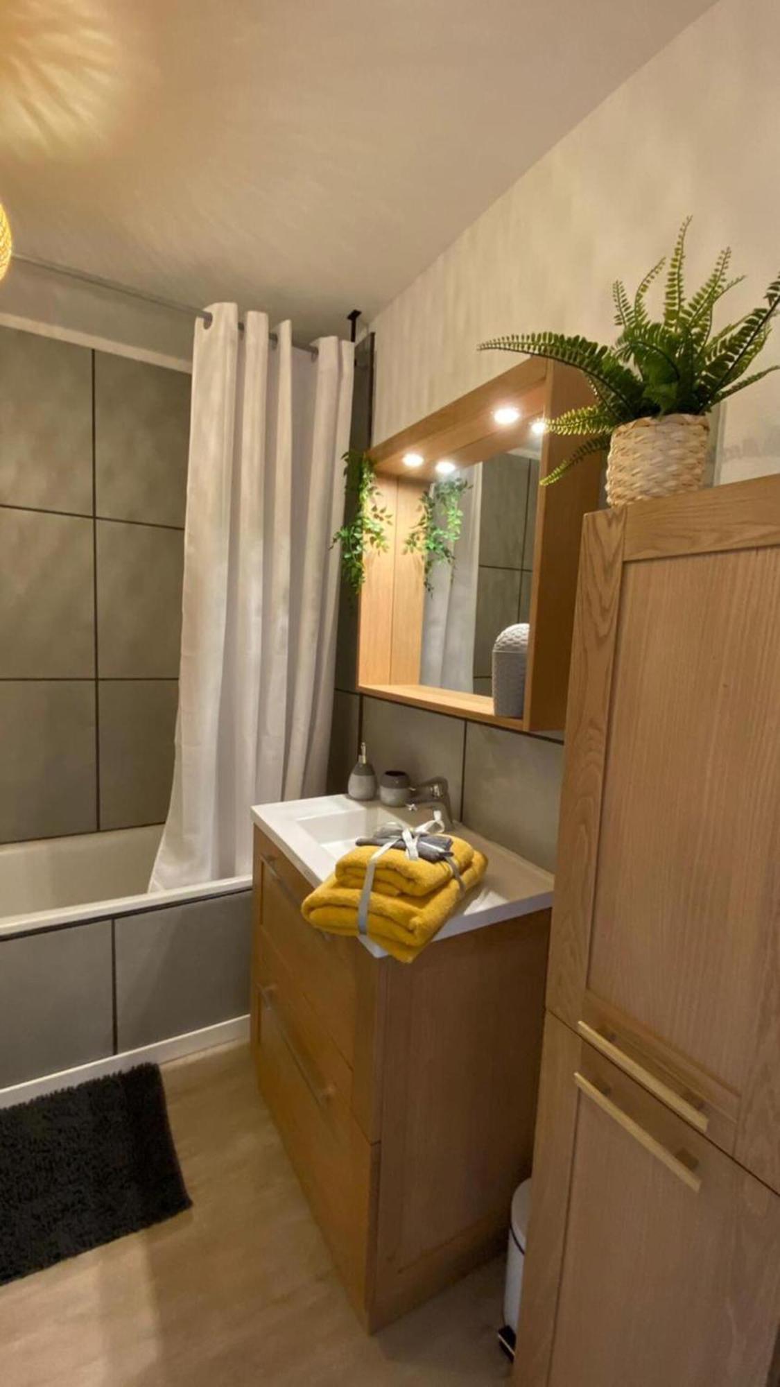 Le Sporting Land - Avec Entree Autonome, Parking Prive & Sa Piscine ! - Apartman Gaillac Kültér fotó