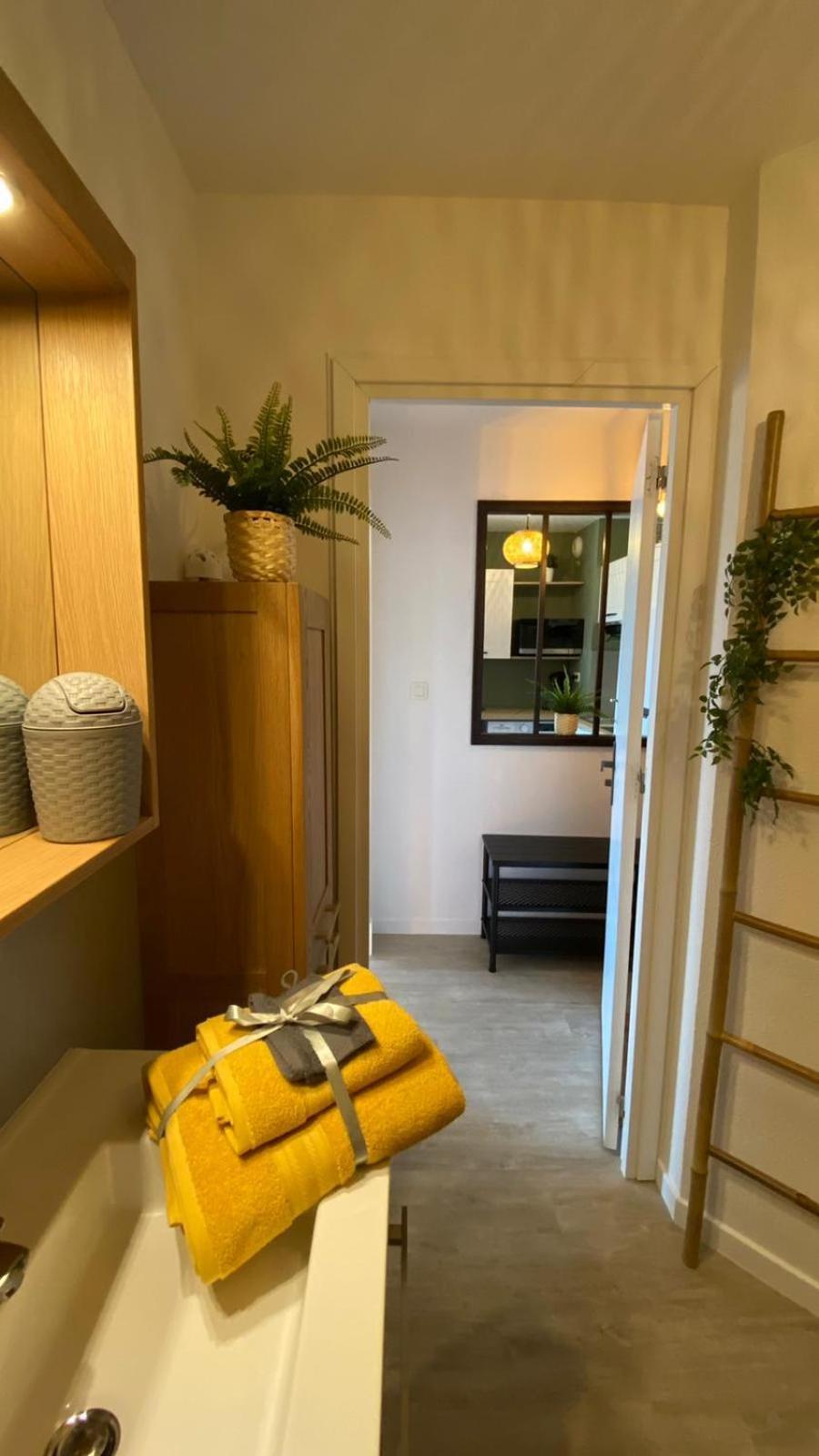 Le Sporting Land - Avec Entree Autonome, Parking Prive & Sa Piscine ! - Apartman Gaillac Kültér fotó